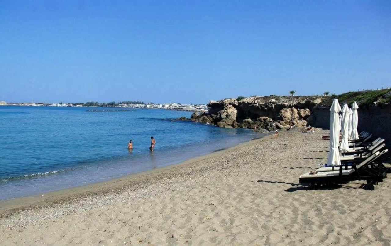 Amphora & Pafos